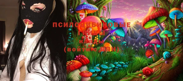 прущий лед Аркадак