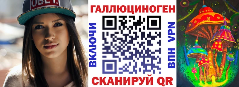 Псилоцибиновые грибы мицелий  купить закладку  Никольское 
